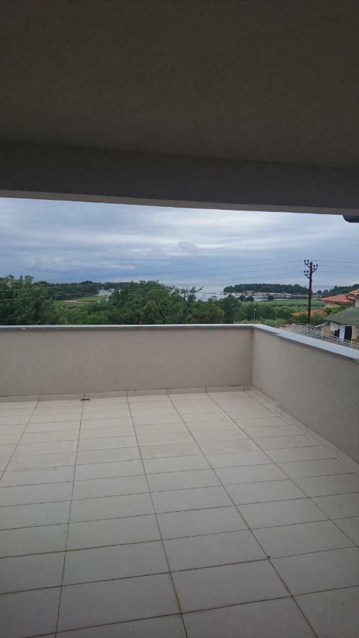 7 Molindrio